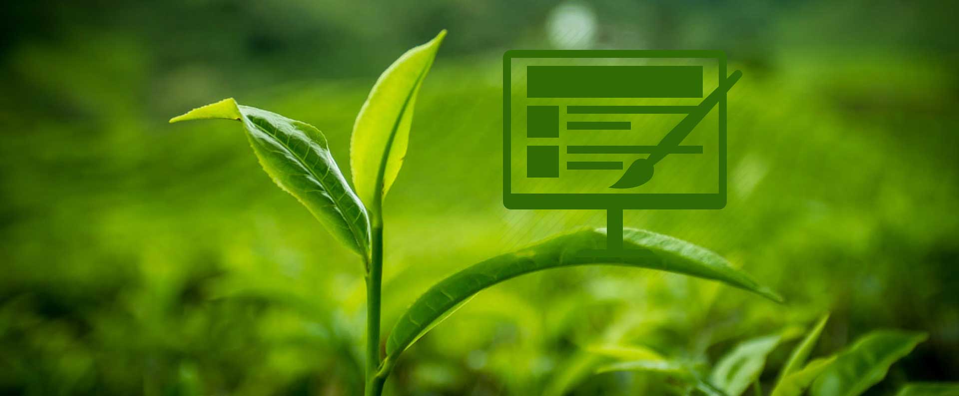 Why Require Good and Functional Website for Tea Business