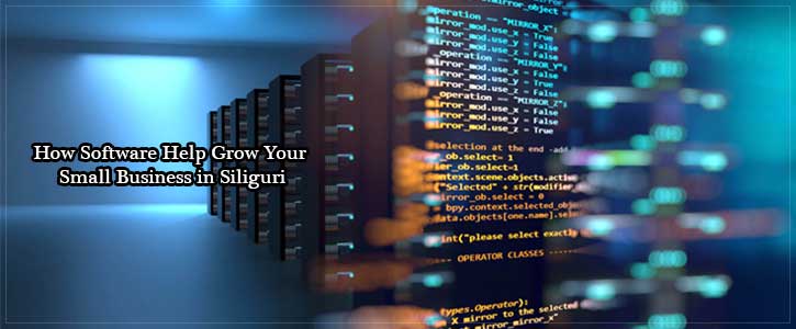 How Software Help Grow Your Small Business in Siliguri